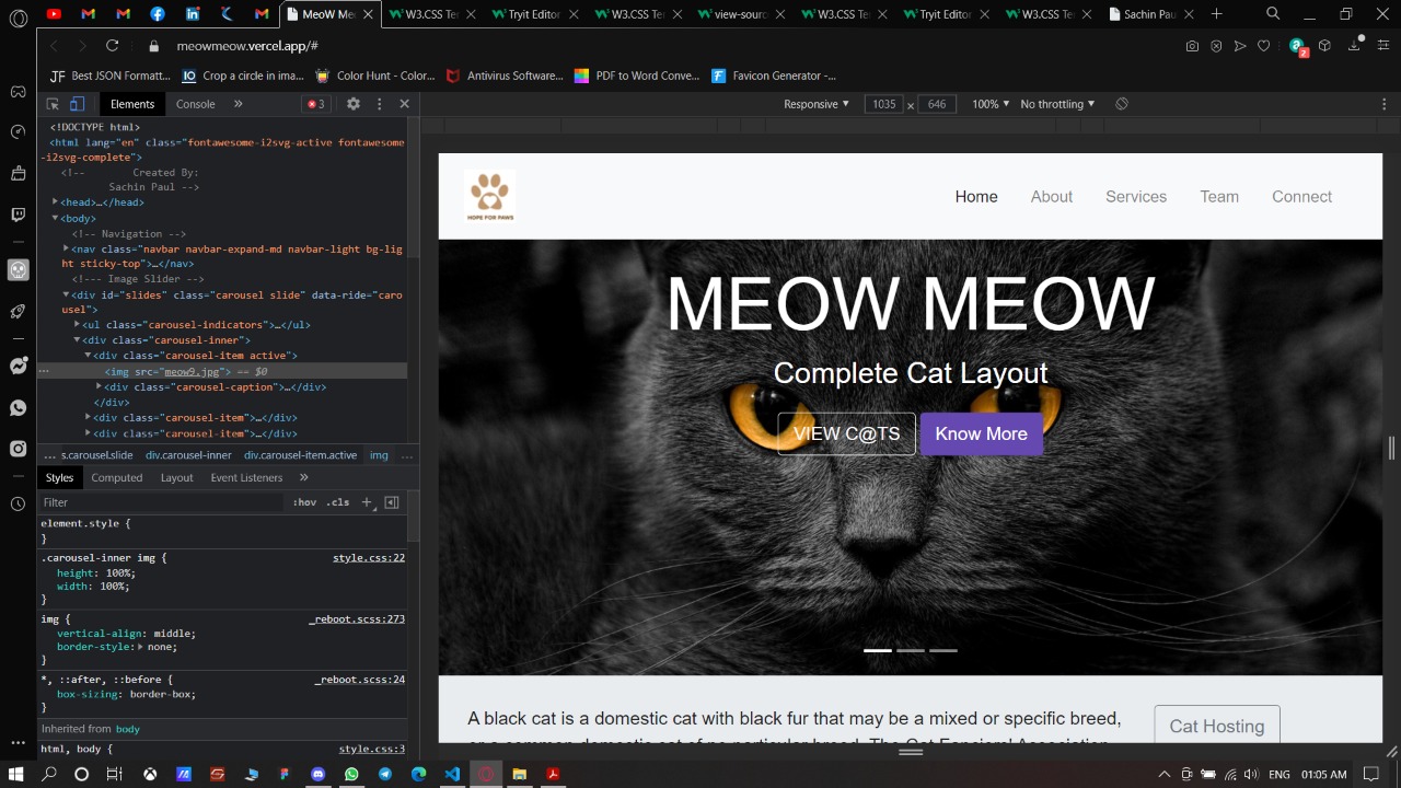 Cat Web Page
